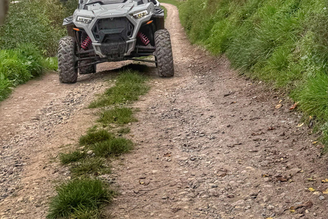 Champagne vineyards: 2-hour guided tour of the vineyards in a Buggy