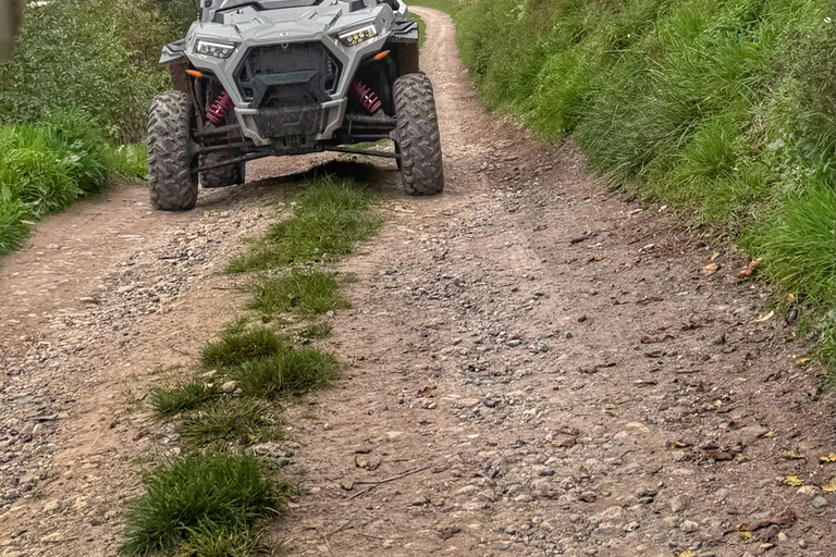 Champagne vineyards: 2-hour guided tour of the vineyards in a Buggy