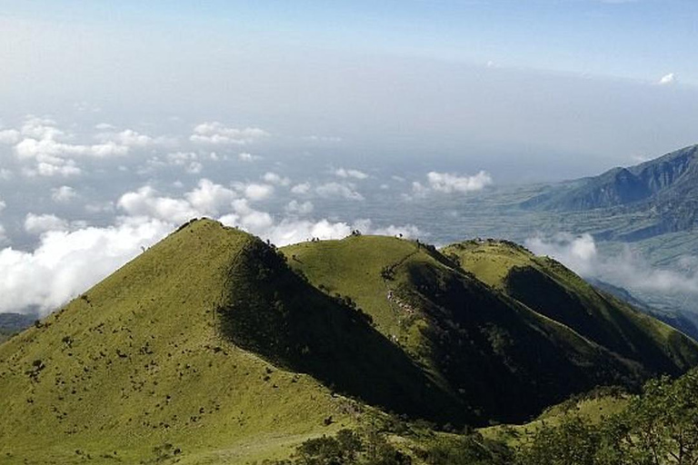 Randonnée avec camping et visite du mont Merbabu et de Borobudur (2 jours/1 nuit)Randonnée et visite du mont Merbabu et de Borobudur (2 jours, 1 nuit)