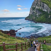 Jeju Private Taxi Tour with English-Speaking Guide & Driver