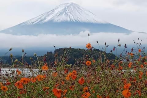 From Nagano: Mount Fuji Private Day Trip with Guide - Image 2