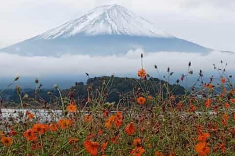 From Nagano: Mount Fuji Private Day Trip with Guide - Image 3