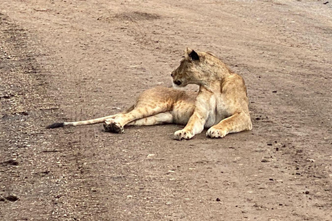 Safari in Kenya di 6 giorni ad Amboseli e Tsavo ovest e est.