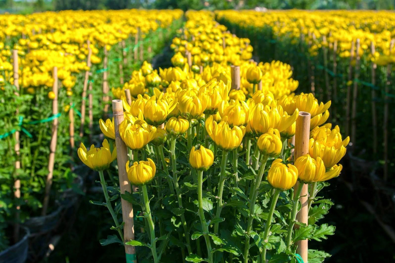 Marché flottant, village de fleurs, visite authentique du delta du Mékong