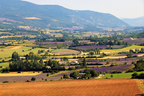 From Aix-en-Provence: Luberon Villages and Lavender Tour