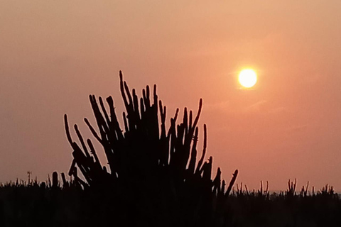 Giro panoramico al tramonto di Aruba