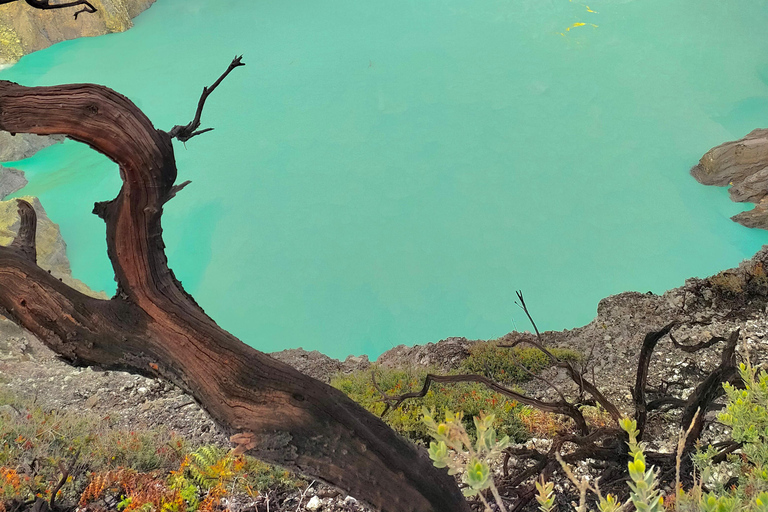 Da Yogyakarta: Alba sul Monte Bromo e fuoco blu dell'Ijen 3 giorni/2 nottiYogyakarta: Alba dorata sul Monte Bromo e fuoco blu dell'Ijen 3 giorni/2 notti