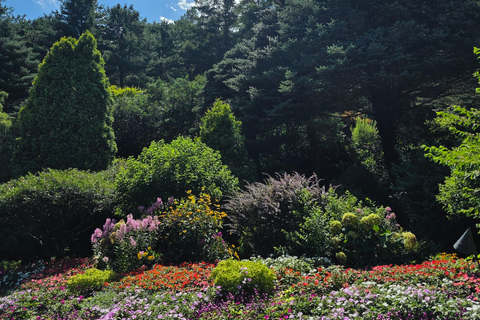 From Seoul: Garden of Morning Calm Day Tour by train