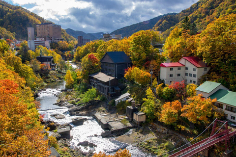 Sapporo: The Indigenous Ainu People &amp; Jozankei walking tour