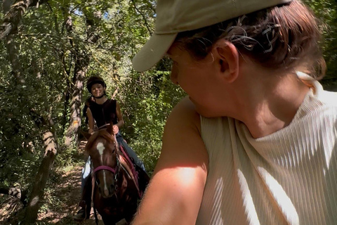 Provence: 2-hour Western horseback riding tour, refreshing break in the river Provence: 2-Hour Western Horseback Riding Tour, Refreshing Break in the River