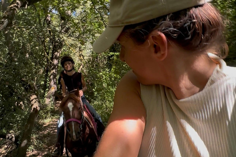 Provence: 2-hour Western horseback riding tour, refreshing break in the river Provence: 2-Hour Western Horseback Riding Tour, Refreshing Break in the River