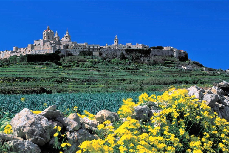 Malta: Valletta, Mdina, 3 Cities & Gozo 4-Day Guided Tour Tues (Mdina), Wed (Valletta), Thurs (Gozo) & Sat (3 Cities)
