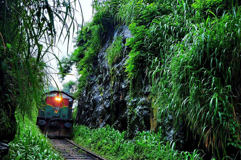 Upplev det autentiska livet i Sri Lanka med Kasun!