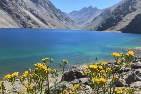 Grupo privado Laguna del Inca y granja de alpacas/viñedo
