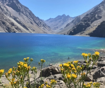 Grupo privado Laguna del Inca e Fazenda de Alpacas/Vinícola