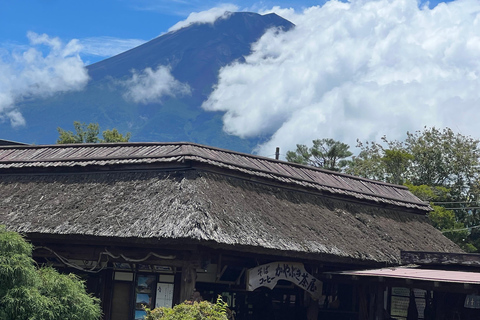 Von Tokio aus: Private Tagestour zum Berg Fuji und nach Hakone