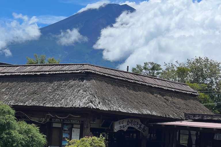 Tóquio: Monte Fuji e Hakone - Viagem de 1 dia com guia particularDe Tóquio: Viagem de 1 dia particular ao Monte Fuji e Hakone