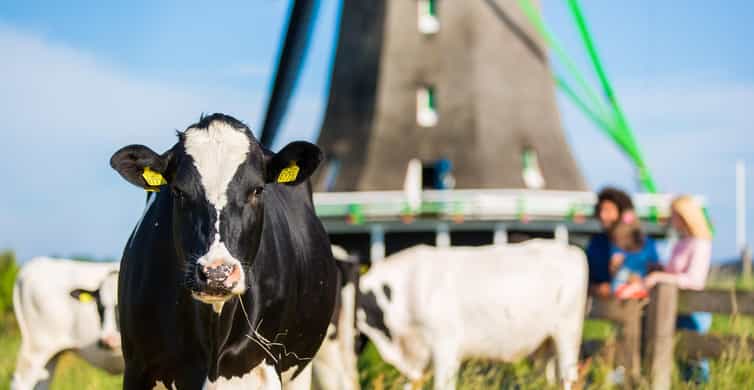 Amsterdam:Zaanse Schans, Marken, Volendam & Edam Guided Tour photo 4