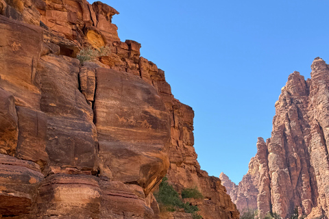 Full day tour A tour through Wadi Al Disa