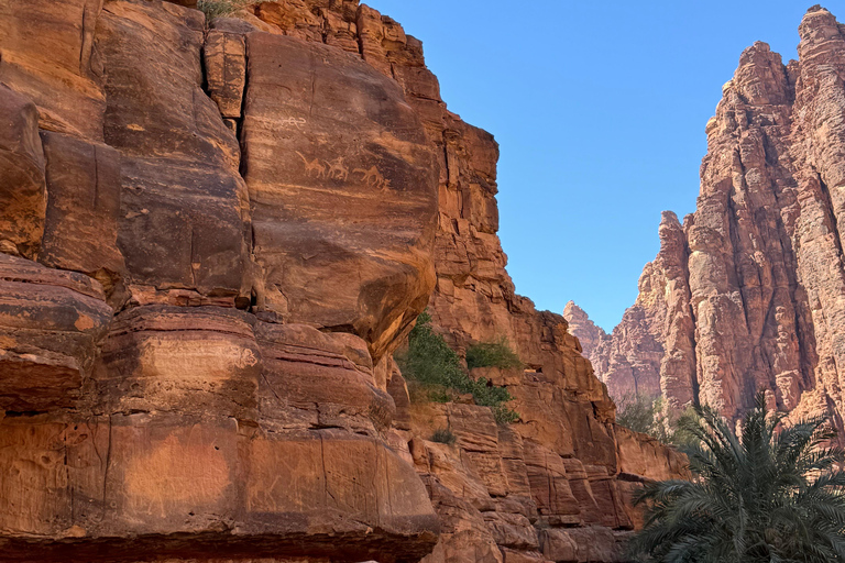 Full day tour A tour through Wadi Al Disa