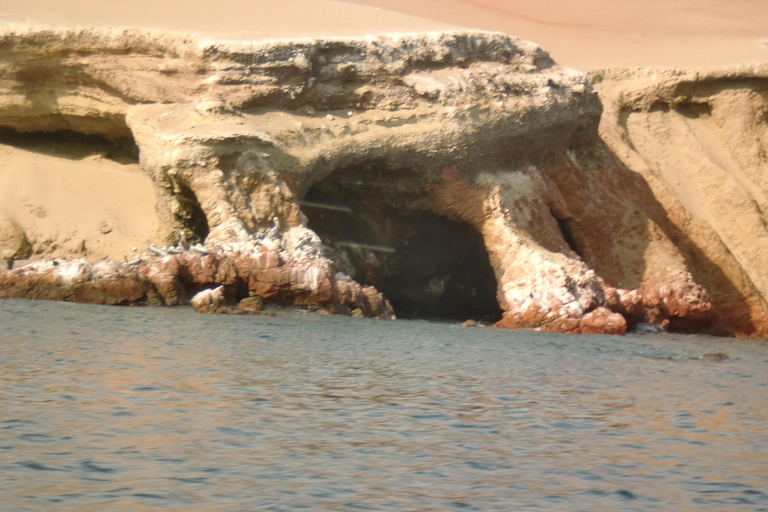 Adventure in the Paracas Dunes: Explore on Buggys or ATVs!