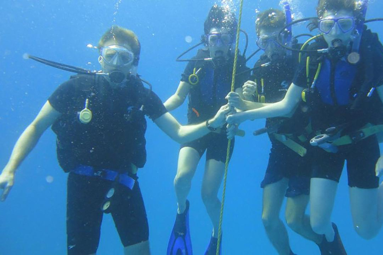 Excursion de plongée sous-marine avec transfert depuis Alanya et la ville de Side