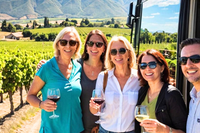 Casablanca-Valparaíso: Explore 2 vineyards with a tour, tasting, and lunch Casablanca, 2 vineyards Tour and tasting + Lunch