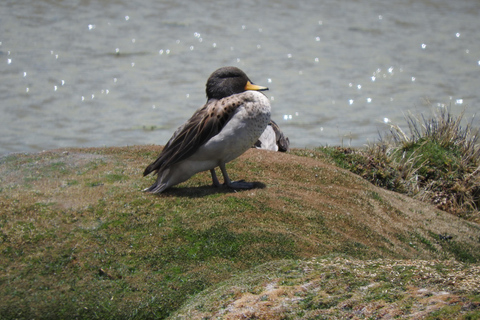 Arequipa: Sillar Route, Quarries + Culebrillas Trekk
