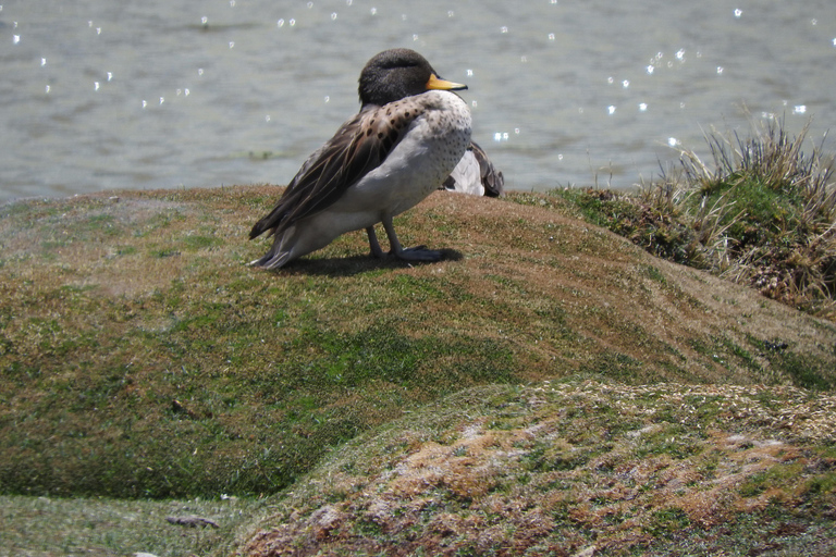 Arequipa: Sillar Route, Quarries + Culebrillas Trekk