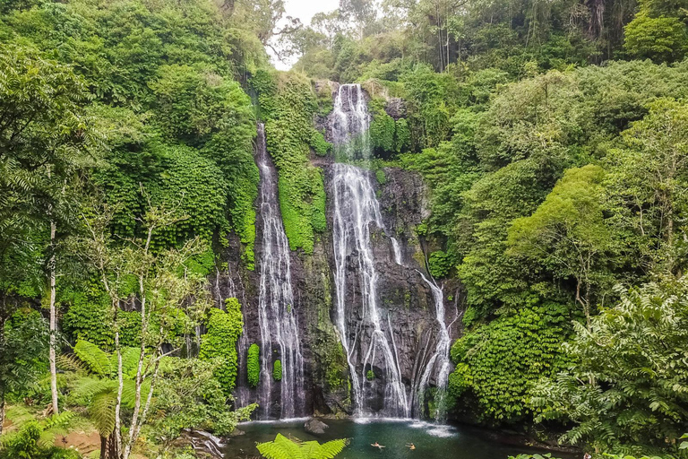 Bali: Tour particular de um dia na Ilha do Norte com a Cachoeira BanyumalaTour sem taxas de entrada