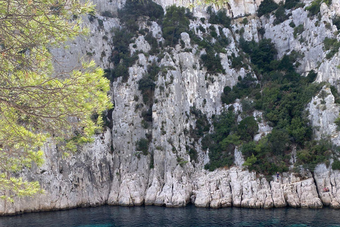Cassis : Calanques National Park Standup Paddleboarding Tour