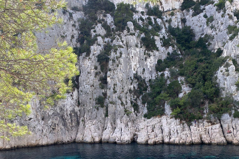 Cassis : Calanques National Park Standup Paddleboarding Tour