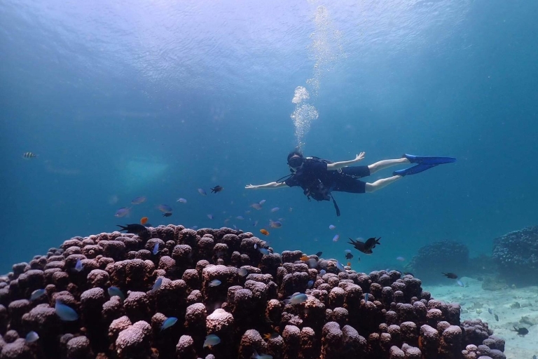 Explore Scuba diving at Racha Yai Island Phuket - Premium Discover Scuba Diving at Racha Yai from Phuket - Premium