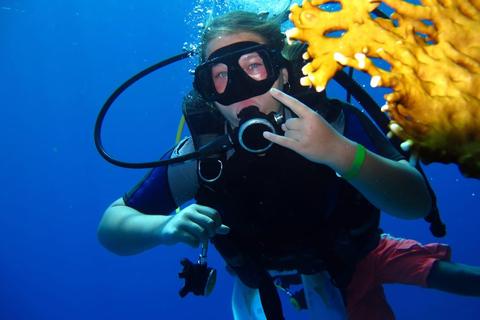 Depuis Sharm El-Sheikh : Excursion de plongée en apnée à Ras MohammedCroisière à Ras Mohammed et sur l'île blanche