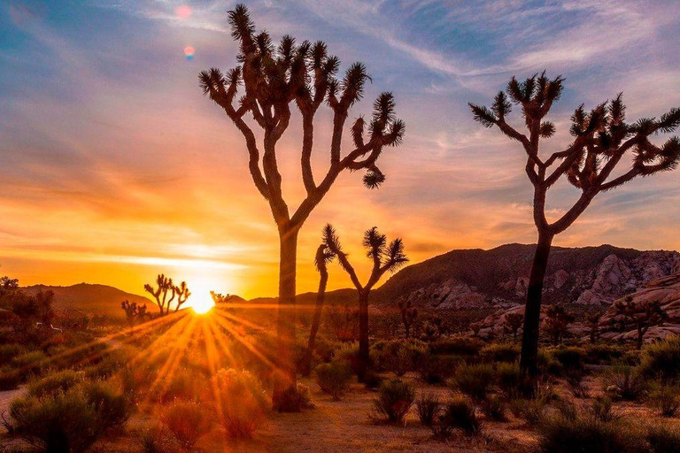 From Los Angeles: 2-Day Grand Canyon & Joshua Tree Tour