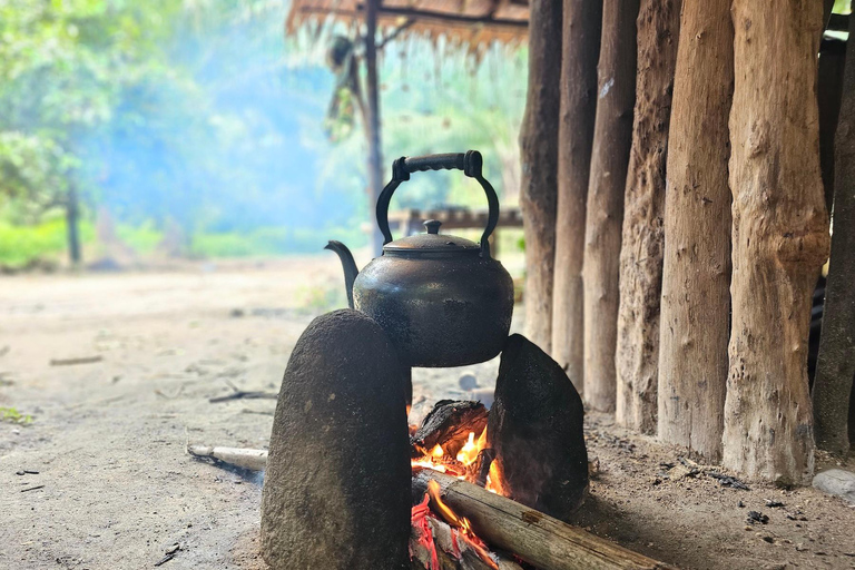 Khao Lak: Jangada de Bambu, ATV e Tour Particular das Tartarugas MarinhasKhao Lak: Tour particular com jangada de bambu, ATV e tartarugas marinhas