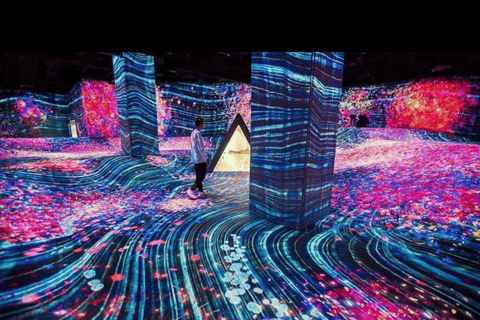 Abu Dhabi: Blue Mosque & teamLab Phenomena Tour with Entry Abudhabi: Full Day Premium Pass Tour With 24K Gold Coffee