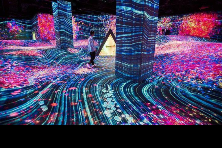 Abu Dhabi: Blue Mosque & teamLab Phenomena Tour with Entry Abudhabi: Full Day Premium Pass Tour With 24K Gold Coffee