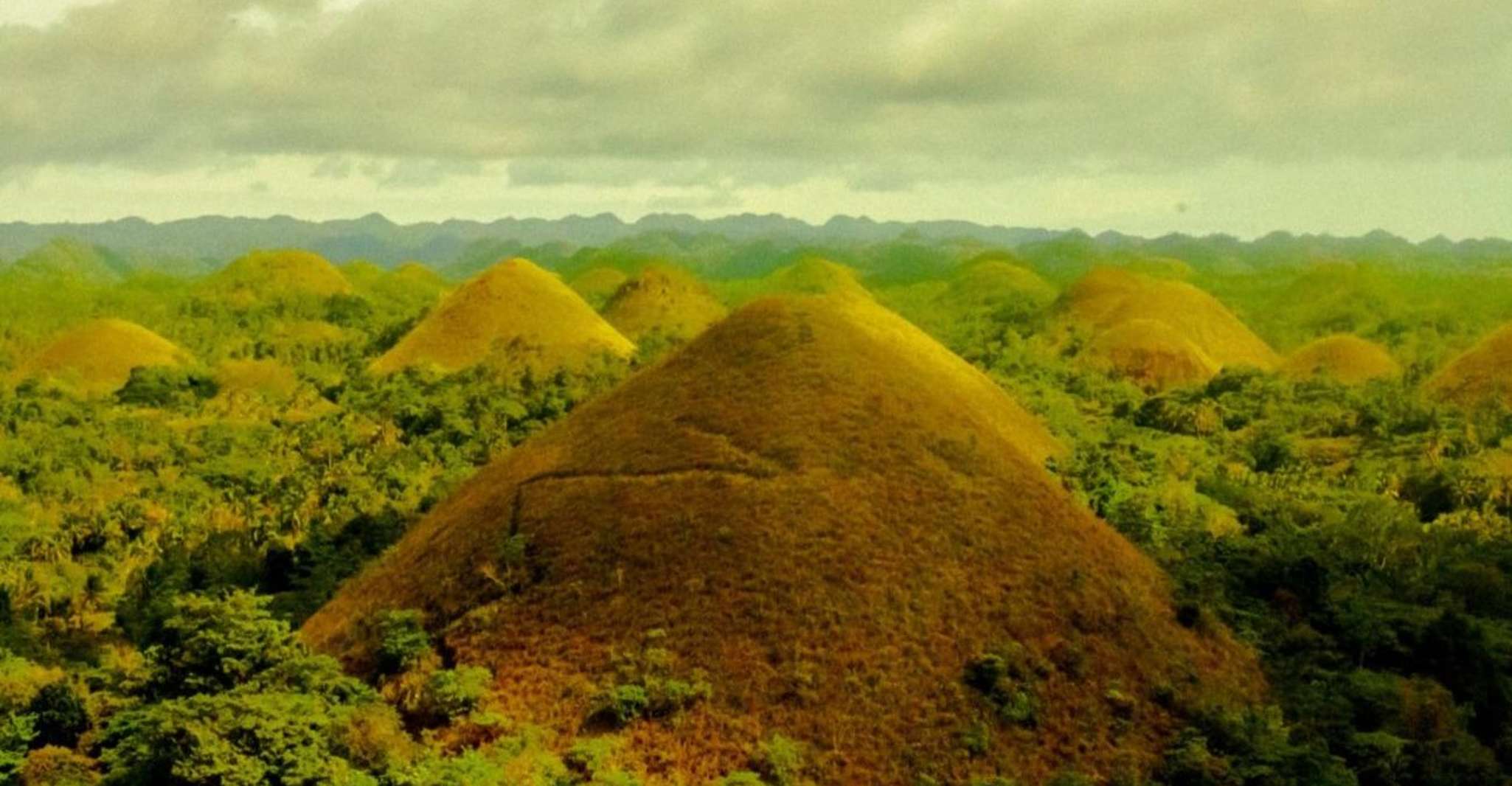 来自宿雾，bohol乡村游览日旅行，午餐自助午餐 - Housity