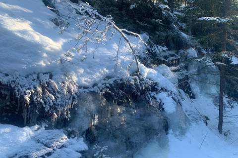 Oslo: Wilderness Skiing Tour with Lunch by the Fire