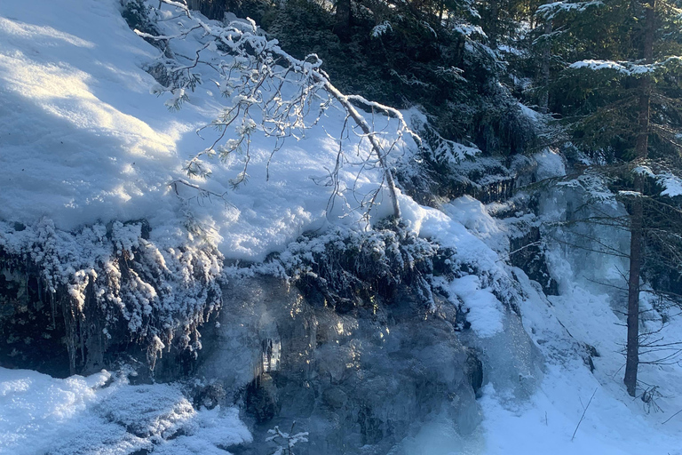 Oslo: Wilderness Skiing Tour with Lunch by the Fire