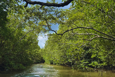 Langkawi: Kilim Geoforest Mangrove 2-Hour Jetski Tour Single Rider Jet Ski Option