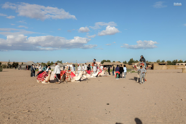 Kamelritt mit Sonnenuntergang und Sternenbeobachtung