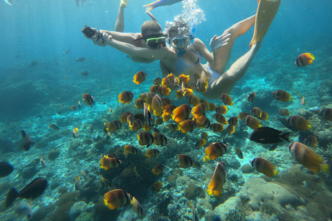 Lembongan: Manta Bay, Turtle Bay, & Gamat Bay Snorkeling