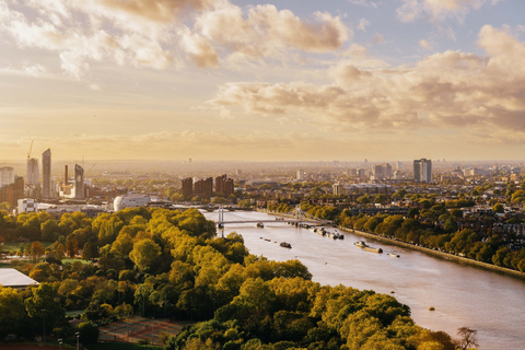 Londres: ingresso para o elevador 109 na Usina Elétrica de BatterseaIngresso para o pico