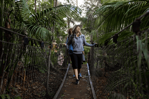 Zen no zoológico