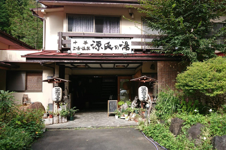 Osaka:Nara & Uji In-depth One-Day Tour丨Deer Feeding