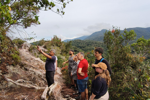 Private Guided Mossy Forest Tour & Malaysia Transfer