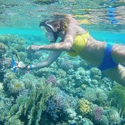 From Hurghada: Sharm El Naga Full-Day Snorkeling Tour