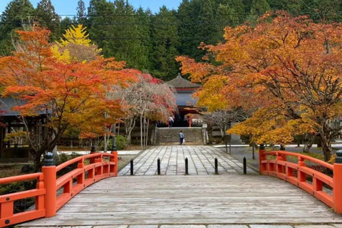 Osaka/Kyoto: Mount Koya &amp; Wakayama Privat dagsutflykt med guideRundresa från Osaka